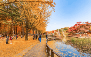 Tour Du Lịch Hàn Quốc Seoul - Nami - Everland 5N4Đ